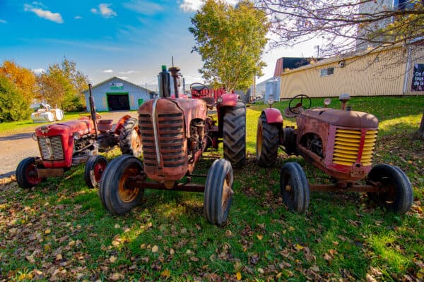 Kamouraska - Tracteurs Massey Ferguson antiques