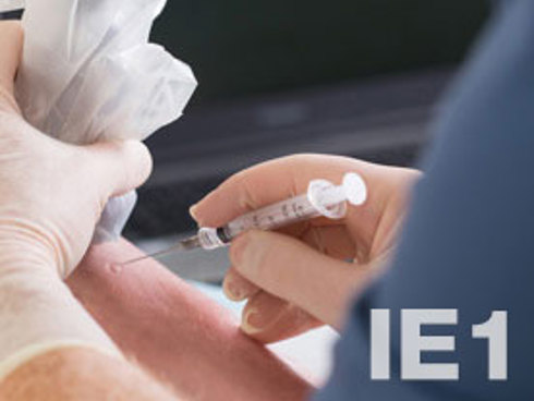 Atelier pratique d’infiltration échoguidée sur cadavre pour le médecin en première ligne