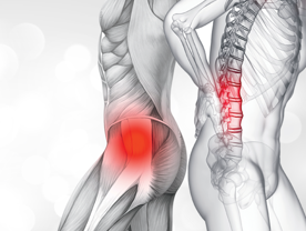 Les journées de l&rsquo;AQMSE et de la FMOQ